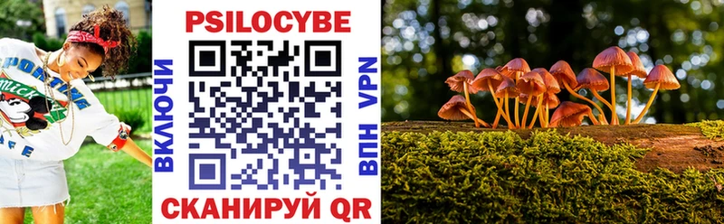 Псилоцибиновые грибы мицелий  Ермолино 